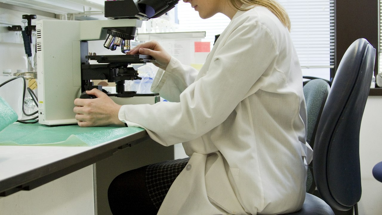 Anthropic Claude ART Enzyme System Mimics CRISPR